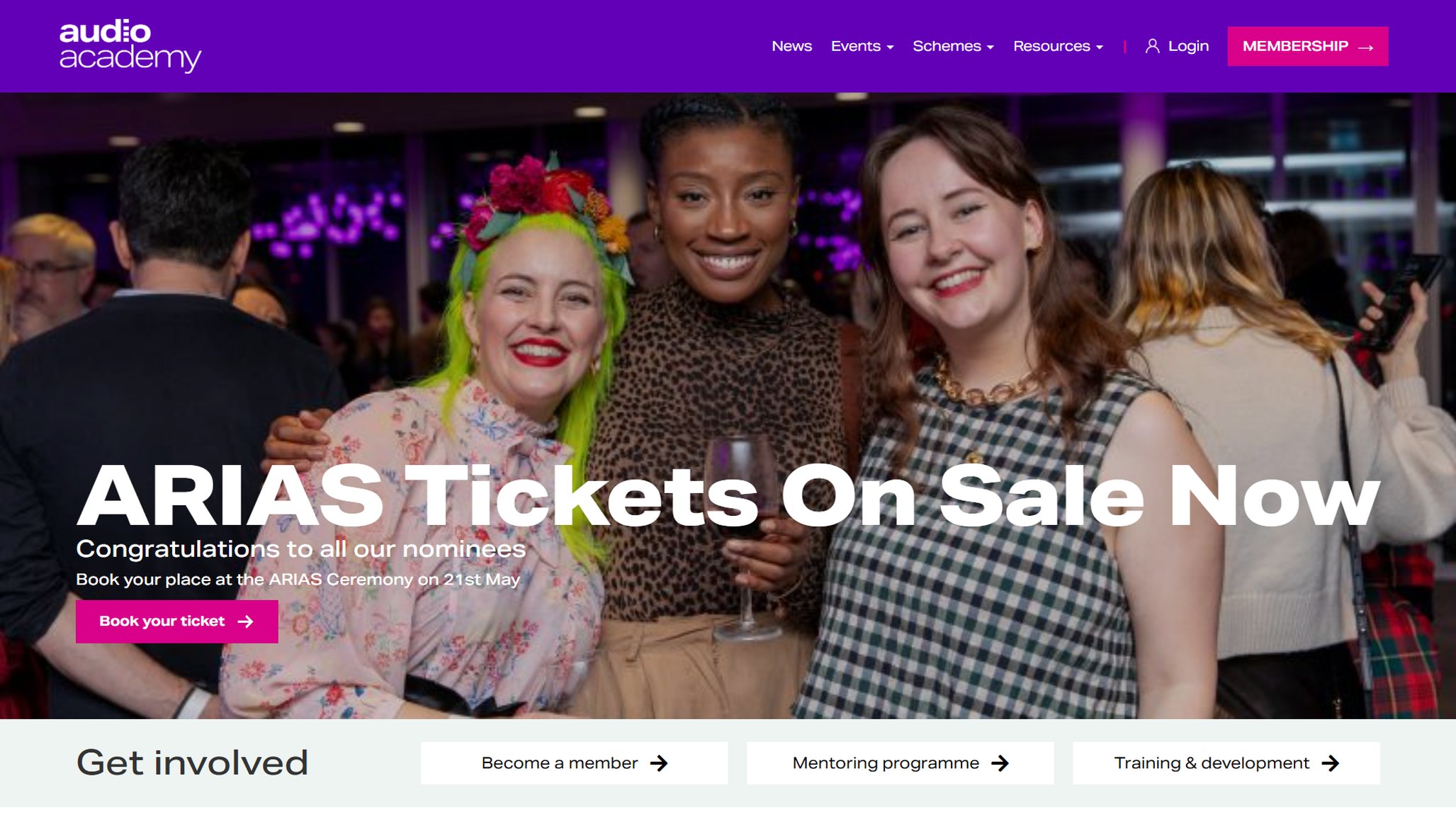 Audio Academy WordPress site by Web Wise Media