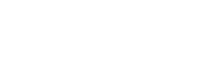 Web Wise Media